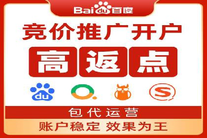 成功SEM服务案例分析报告